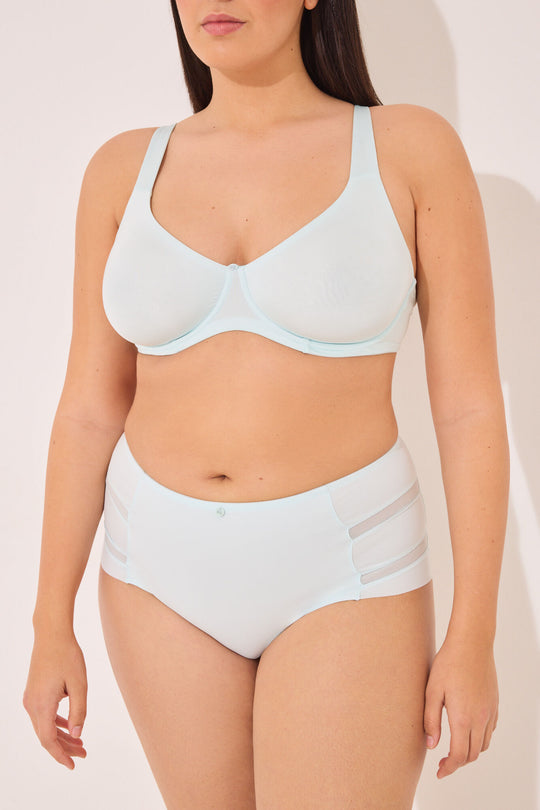 Classic high- panty in microfibre and blue tulle