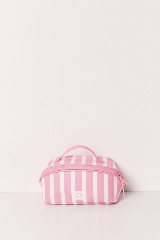 Pink striped medium vanity case