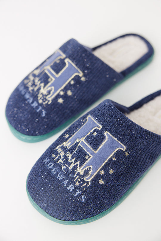 Harry Potter blue house slippers